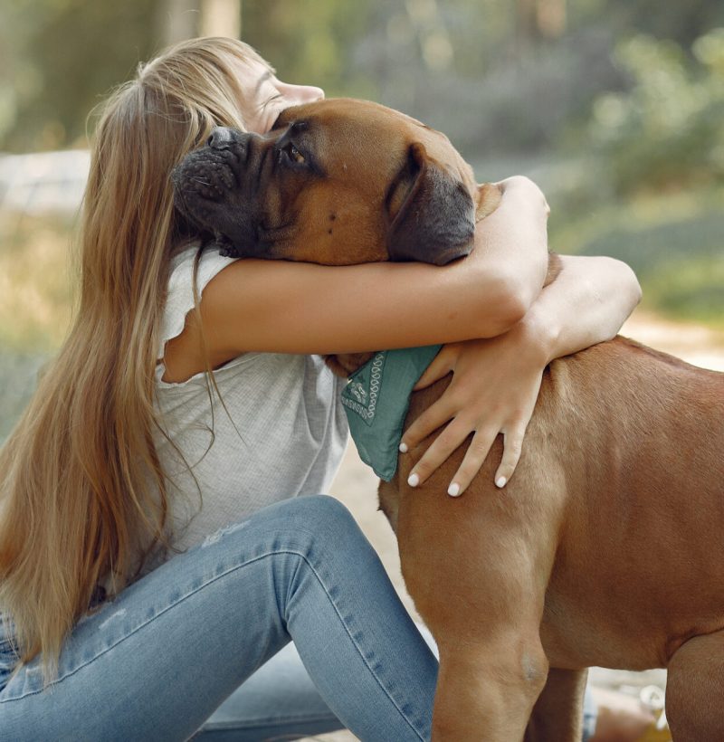 animaux
